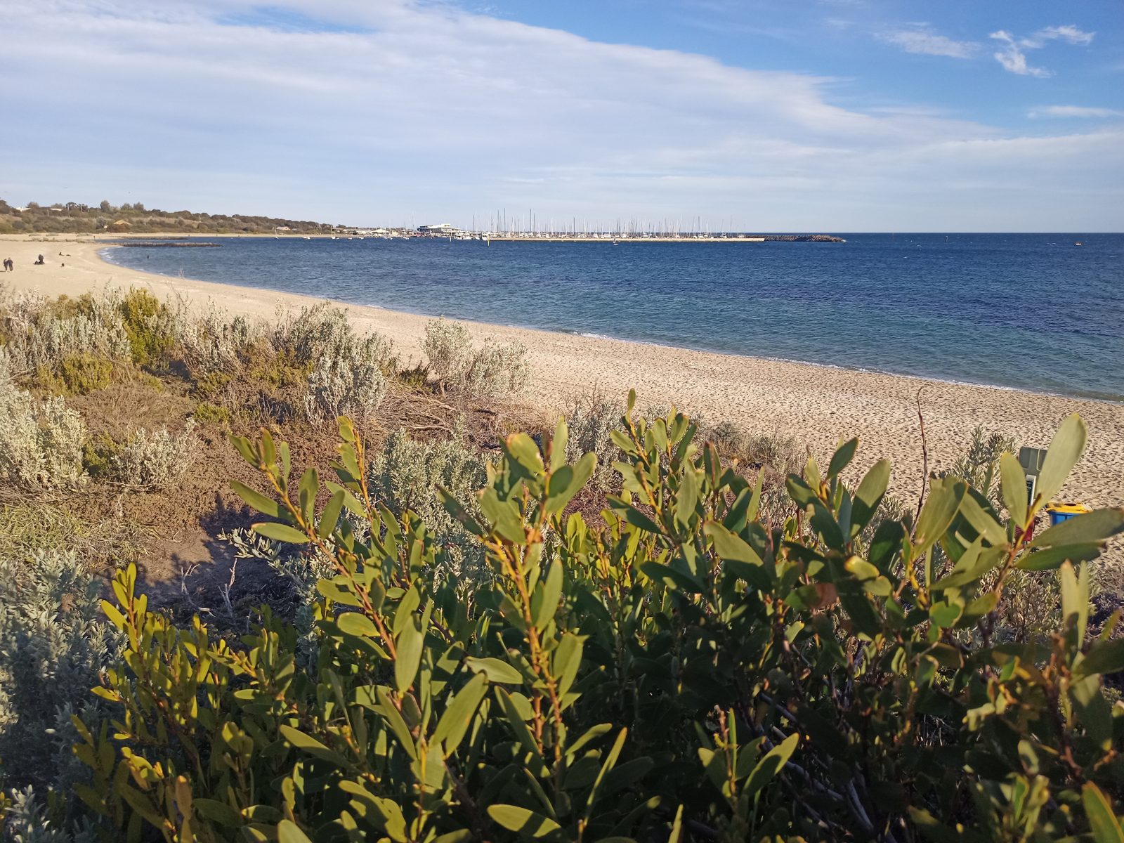 Calm bayside view near Hampton